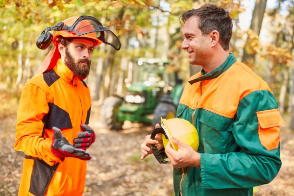 Cosa fa un tecnico forestale?